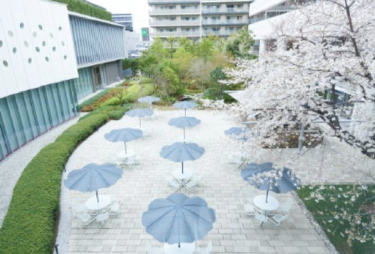 IDEC、本社技術センターの「いずみの森」がSEGESの「育てる緑」部門において大阪市で初認定