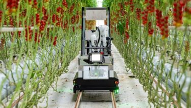 デンソーとセルトン、ミニトマト全自動収穫ロボットを欧州向けに発売